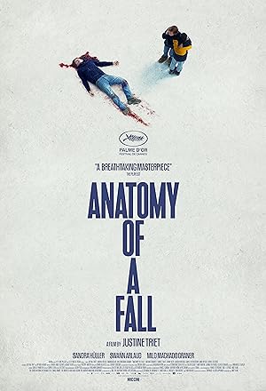 Anatomy of a Fall (2023) Hindi Dubbed