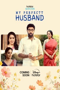 My Perfectt Husband (2024) Season 1 Hindi WebSeries